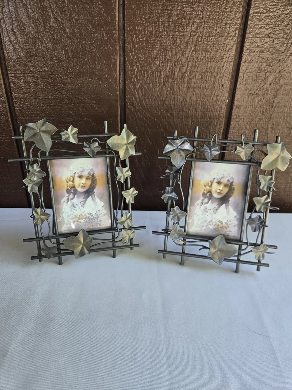 Decorative Metal Photo Frame with Ivy Accents - Set of 2